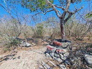 TERRENO EN PARAISO CARRETERA MERIDA A PROGRESO