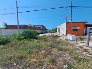 TERRENO EN CHELEM A ORILLA DE CARRETERA ENTRE CHELEM Y CHUBURNA