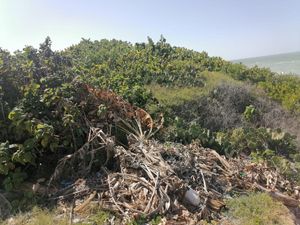 TERRENO FRENTE AL MAR EN CHUBURNA PUERTO