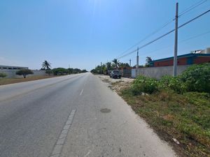 TERRENO EN CHELEM A ORILLA DE CARRETERA ENTRE CHELEM Y CHUBURNA