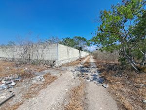 TERRENO EN PARAISO CARRETERA MERIDA A PROGRESO