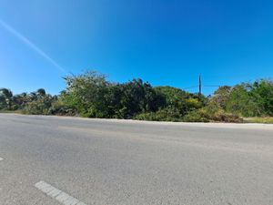 TERRENO EN CHUBURNA PUERTO A ORILLA DE CARRETERA MUY CERCA DEL MAR