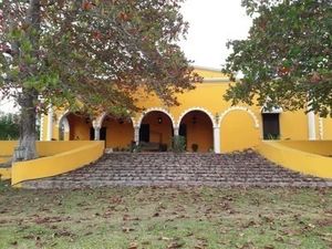 HERMOSA E HISTORICA HACIENDA CAUACA DE 350 HECTAREAS EN TEMAX YUCATAN