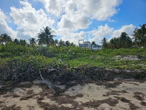 TERRENO EN SAN CRISANTO  FRENTE AL MAR CON MAGNIFICA UBICACION