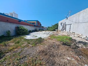 TERRENO EN CHELEM A ORILLA DE CARRETERA ENTRE CHELEM Y CHUBURNA