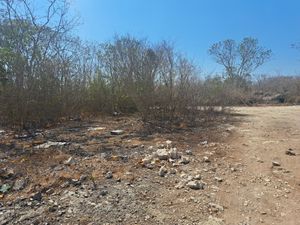 TERRENO EN PARAISO CARRETERA MERIDA A PROGRESO