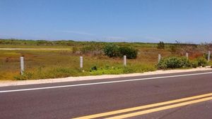 Terreno de 40 m de Frente de Playa Hasta Carretera en San Crisanto