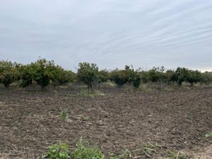 VENTA DE TERRENO AGRICOLA EN CADEREYTA, NUEVO LEON