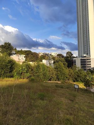 Increíble Terreno en Venta en la mejor zona de Bosque Real