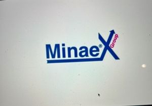 Inmobiliaria  MinaeX