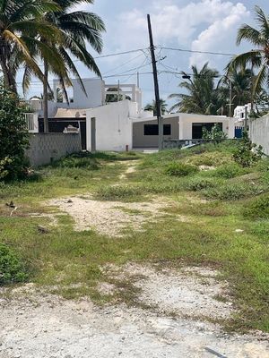 Hermoso terreno frente de playa - Chelem