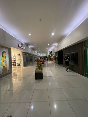 LOCAL COMERCIAL EN RENTA EN VERONICA ANZURES PLAZA DE LAS ESTRELLAS