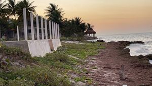 Terreno Frente al Mar en San Crisanto, Yucatán