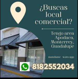 Locales comerciales en Apodaca