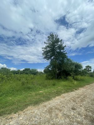 2 LOTES CAMPETRES EN El Blanquillo, Montemorelos N.L.