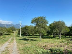 LOTES CAMPESTRES CERCA DE BIOPARQUE