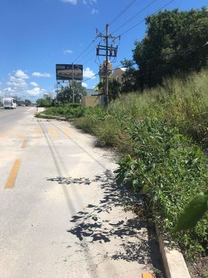 Terrenos en venta. Descubre tu propio pedazo de paraíso en Playa del Carmen.