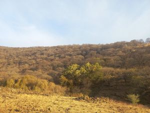 Terreno/Lote en Venta en Agua Escondida.