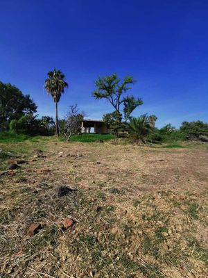 venta terreno en camino a los arcos puente grande jalisco.