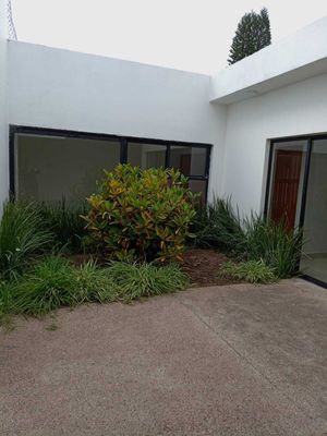 Casa en venta en colonia Moderna, Irapuato Guanajuato