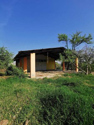 venta terreno en camino a los arcos puente grande jalisco.