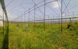 Terreno/Lote en Renta en Santa Fe.