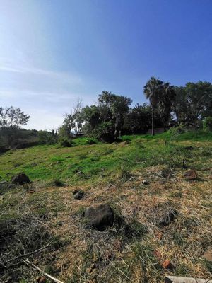 venta terreno en camino a los arcos puente grande jalisco.