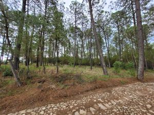 Terreno en venta en Boskia atemajac de brizuela