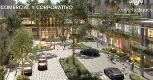 Inversion Comercial y Corporativo en Proyecto Entrebosques