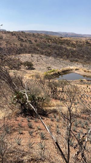 Terreno en venta Valle de Guadalupe