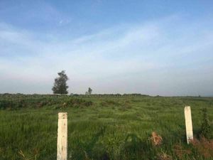 Terreno  a pie de la carretera cuota Guadalajara-Zapotla