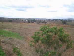 Terreno en venta San Miguel el alto