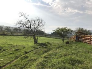 Terreno en venta Talpa de Allende