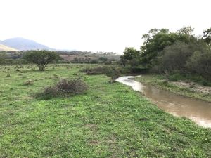 Terreno en venta Talpa de Allende