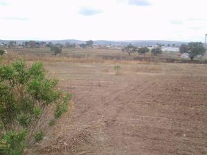 Terreno en venta San Miguel el alto