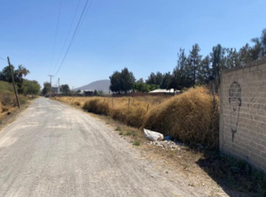 Terreno industrial en venta Buenavista Tlajomulco