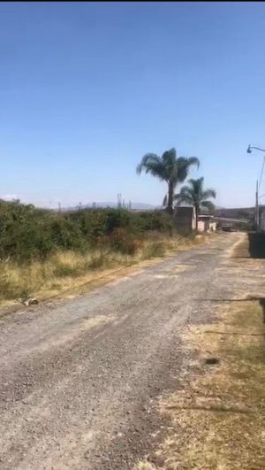 Terreno en venta para bodega o casa de campo Ixtlahuacan de los membrillos