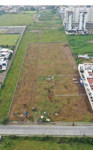 terreno en renta en Zona Real