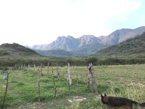 Terreno en venta Talpa de Allende