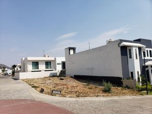 TERRENO EN VENTA DENTRO DE COTO EN (TLAJOMULCO)