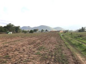 Terreno en venta Talpa de Allende