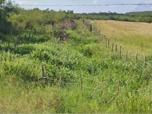 Terreno en Venta en Carretera Nacional, Montemorelos