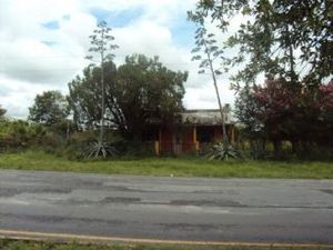 Terrenos en Venta en Congregación Calles, Montemorelos, N.L. – 4664