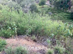 Terreno en Venta en Carretera Nacional, Los Cavazos