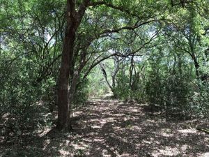 Terreno Campestre en Venta en Montemorelos, Carretera Nacional.- 7850