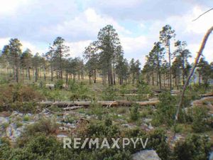 Cabaña en venta en La Viga, Arteaga Coahuila