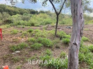 Terreno en Venta en Carretera Nacional, Los Cavazos