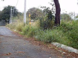 Terreno Comercial en Renta en El Faisán, Santiago, N.L. - 5897