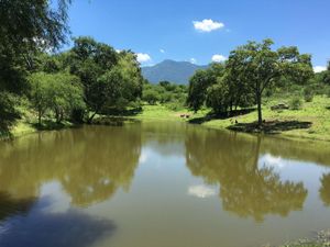 Terreno Campestre en Venta en Montemorelos, Carretera Nacional.- 7850