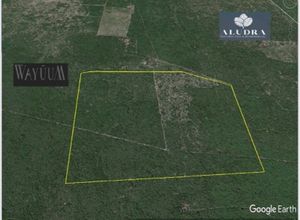 SE VENDE TERRENO EN  CHICXULUB PUEBLO YUCATAN